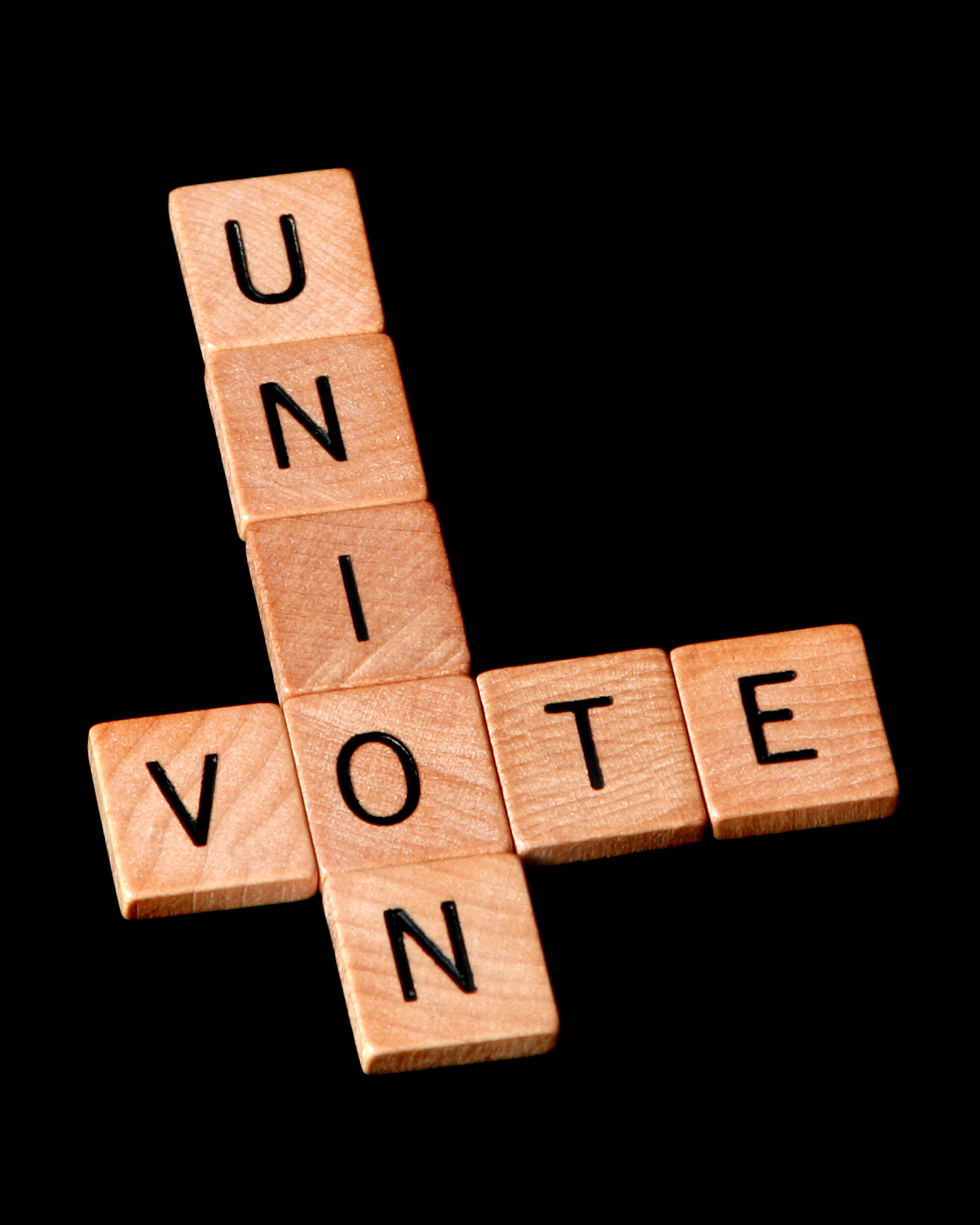 Vote Union Blocks