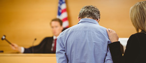 Launch Video For Michigan Felony Sentencing Guidelines